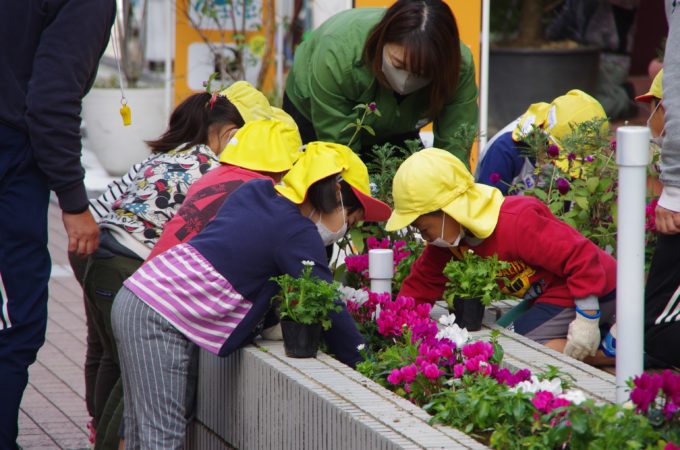 苗植えに関する記事一覧 まちづくり延岡